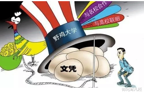 帅妈育儿经|考生需警惕!黑龙江的“野鸡大学”开始行动了,毕业证如同废纸