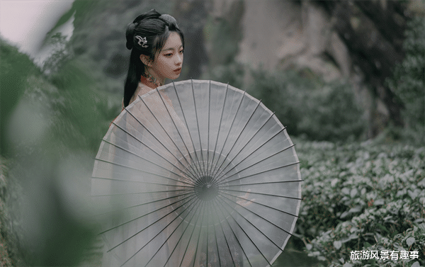 旅游风景有趣事|喜欢独来独往，比较享受单身生活，凡事喜欢靠自己的三个生肖