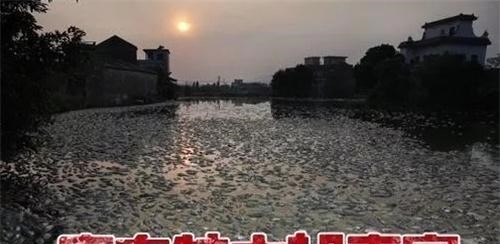 美好大千世界|广东高要投毒案:农妇无差别投毒致18人死亡,都是迷信惹的祸