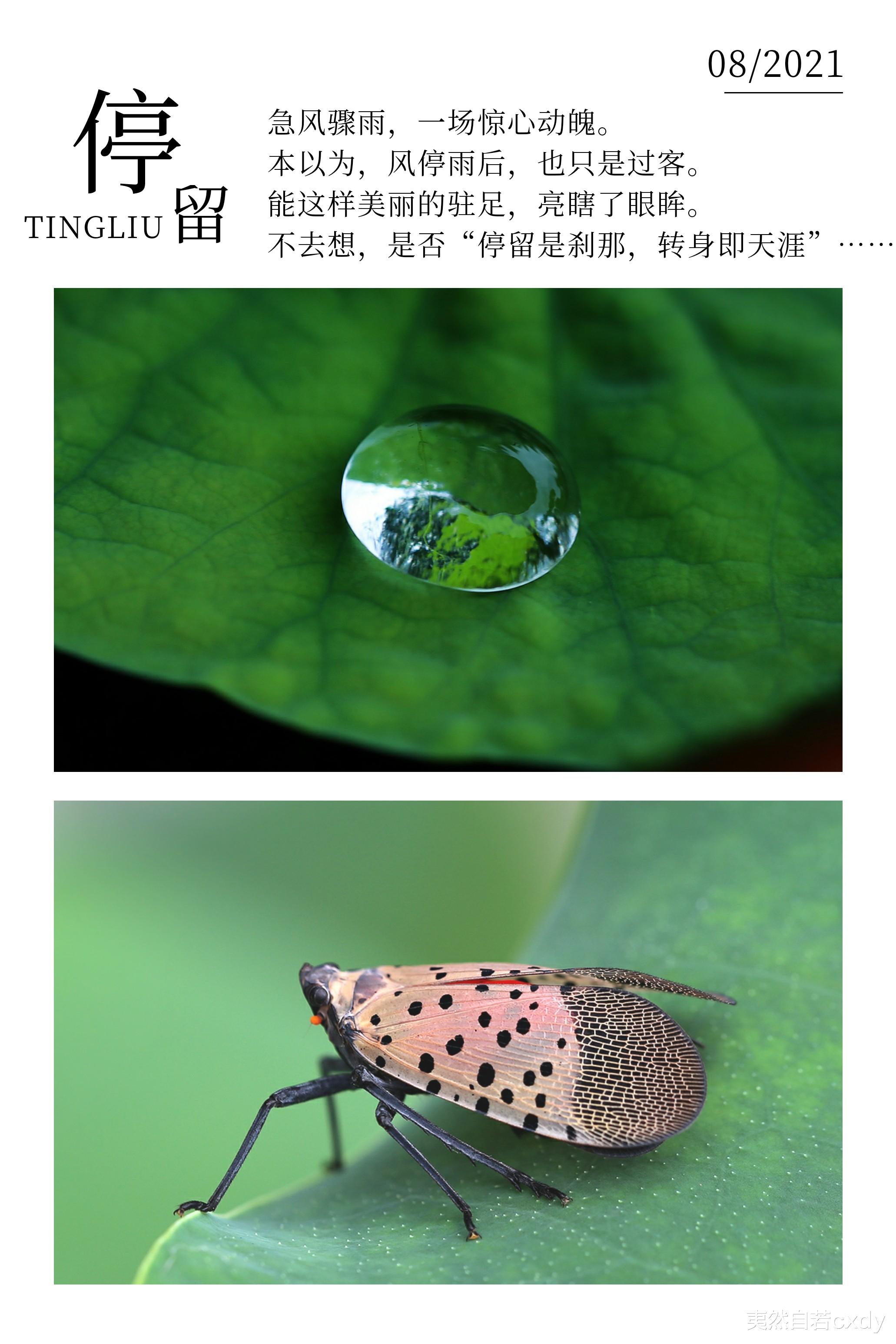 夷然自若cxdy|季节终会凋敝所有颜色，想问：到那时，君可爱我如此刻？
