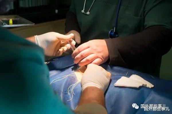 医生|男子肾结石住院，醒来发现结石没取肾却没了，手术4个月惨毙命