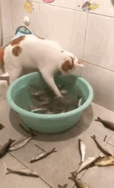 萌萌萌说|“我老婆很像范冰冰，你们是不是嫉妒了？”评论区精彩了！哈哈哈