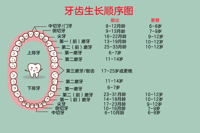 歪妈亲子故事|姚晨8岁儿子长出“双排牙”，都怪父母太溺爱？原因没那么简单