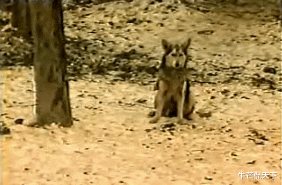 封神榜|比聊斋还吓人的89版《封神榜》到底多恐怖？