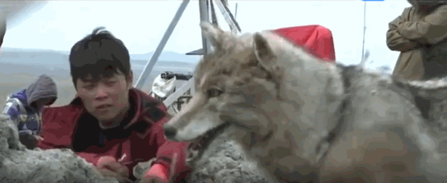 电影|这桩娱乐圈的集体谋杀案,上不了热搜