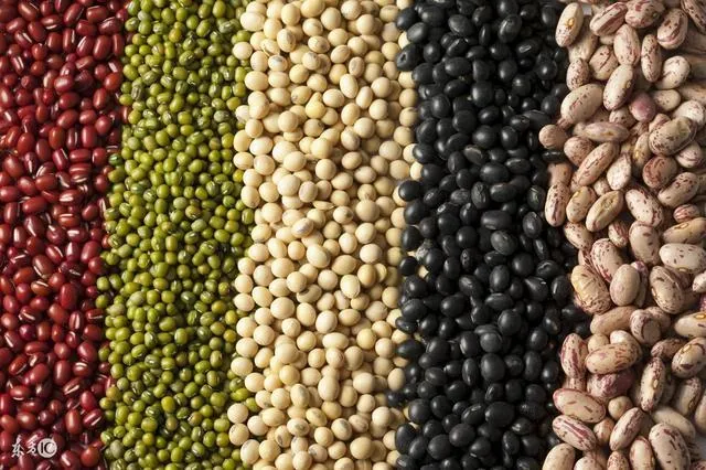 小熊妈妈母婴健康专家|秋季幼儿养护小贴士