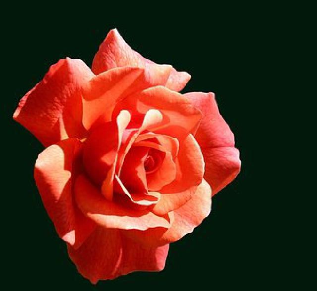 陈敏妍说情感|经典走心的感悟短语，深刻透彻，读完受益不少