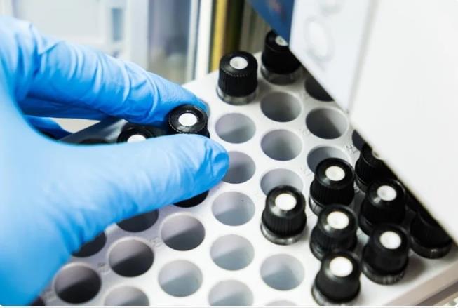  气相色谱仪的分析检测