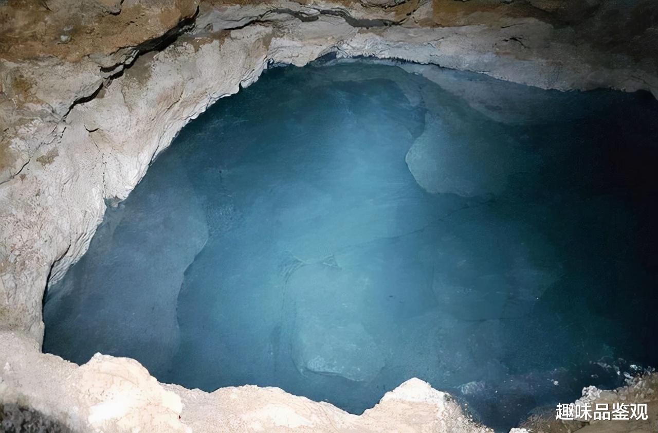 550万年前的洞穴被发现?自建生态系统和新物种,令人深思(上)