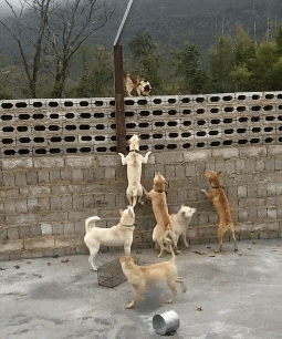 广东省|“地铁上看见心仪的女生，但她的职业很特殊！”你敢上去搭讪吗？