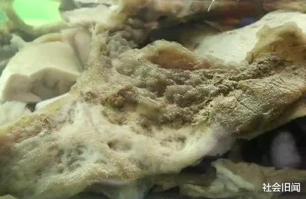 科学家已破解“太岁”身份,吃它不能长生不老,只是一种常见化工原料