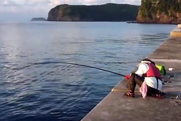 |再三强调，鲫鱼只要按我说的钓，鱼获翻倍那都不是事