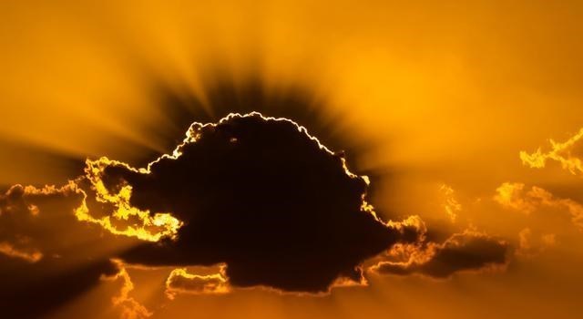 生态环境保卫者|心思缜密,先见之明的星座,善于掌控人心,但没有什么控制欲