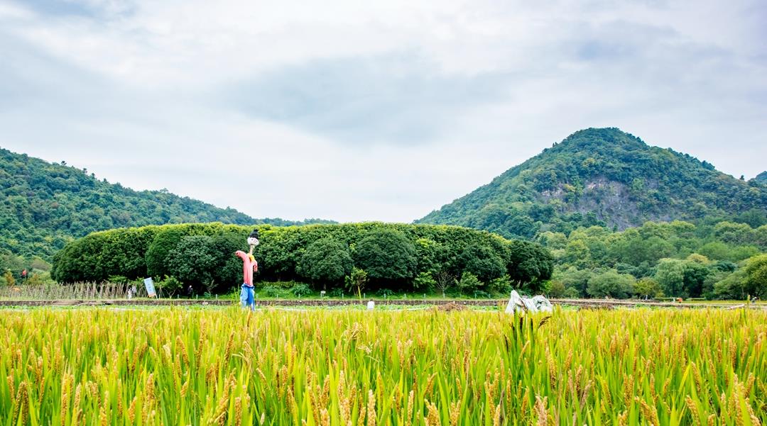 杭州 长假西湖人挤人，其实杭州还有两个值得去的景点，冷门但有意思