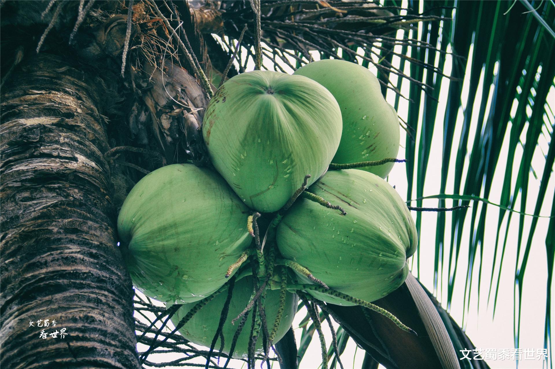 旅行 公认适合北方人过冬养老的地方，比云南昆明温暖，比广西北海好玩