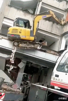  “逗了一会狗身上就出现黑点，这是啥玩意？”心态要崩了...