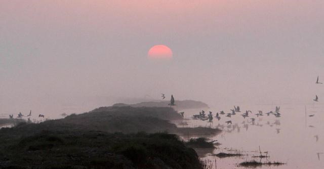 |巢湖野钓消失了，安徽各地钓友注意：除了这4处水域，都能钓鱼