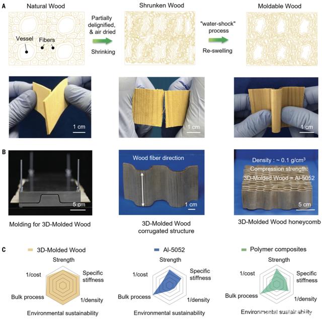 冬奥会黑科技频现,中国材料领域的新突破,“超级木头”有多牛?