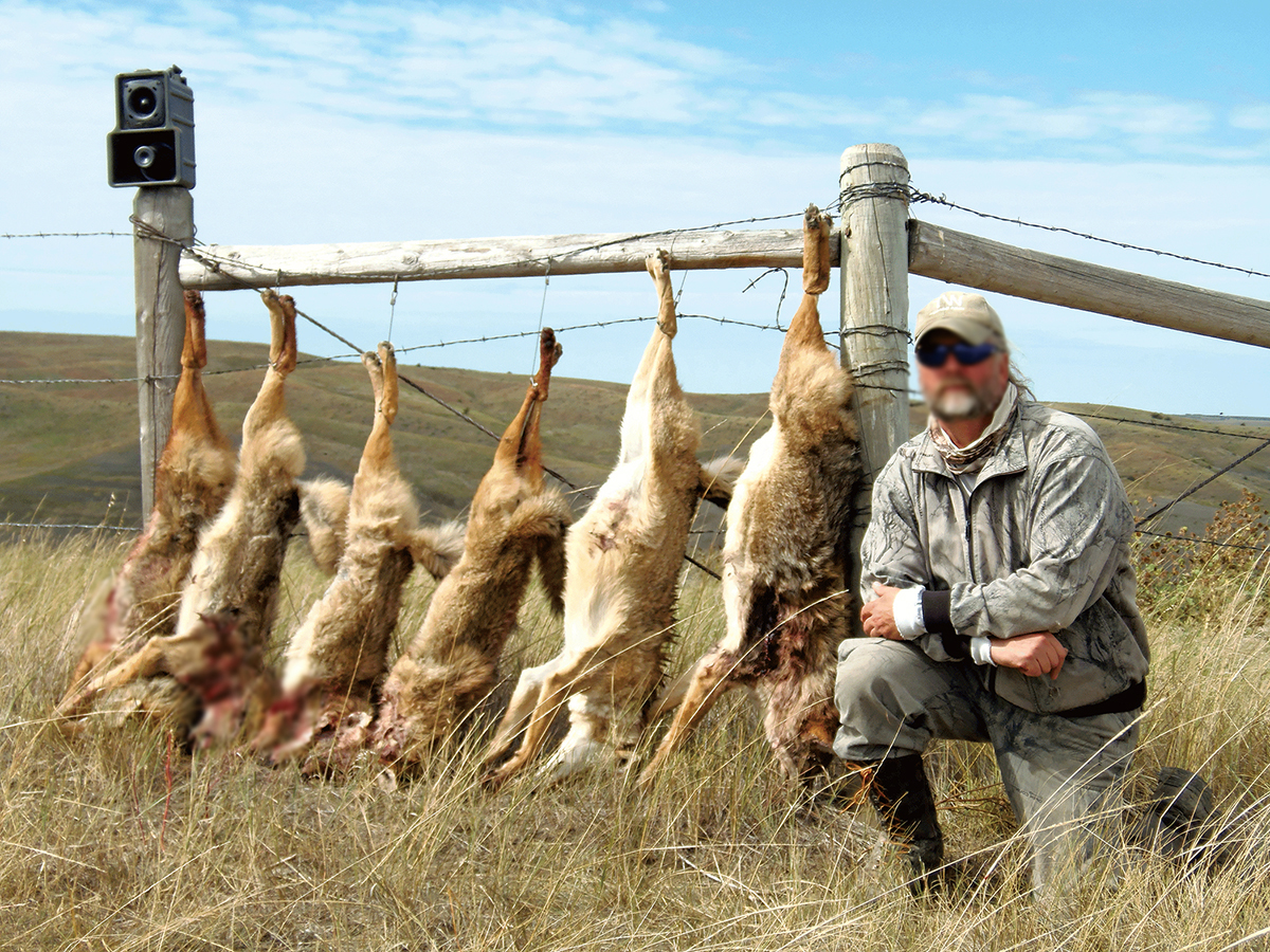 基因 美国有一种狼，为了能做到全国性分布，与狗攀成了亲家
