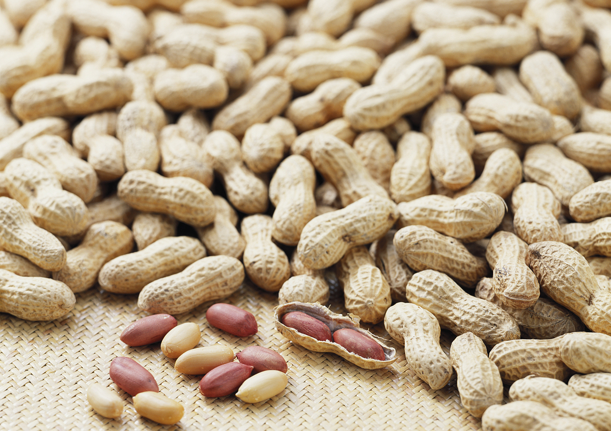 瓜子|瓜子和花生，一个让你胖一个帮你瘦，吃完记得运动，或可帮你瘦身