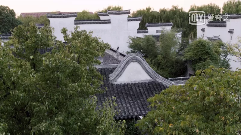 章子怡|热播电视剧《理想之城》松江取景地来了!