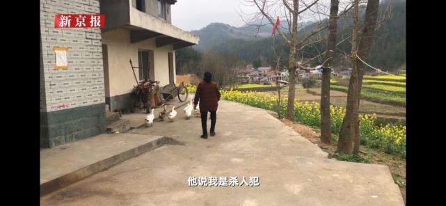 娱你有瓜 庞麦郎母亲受访称儿子不想吃饭怪她在饭里下药，父亲盼儿子病愈后挣钱娶媳妇