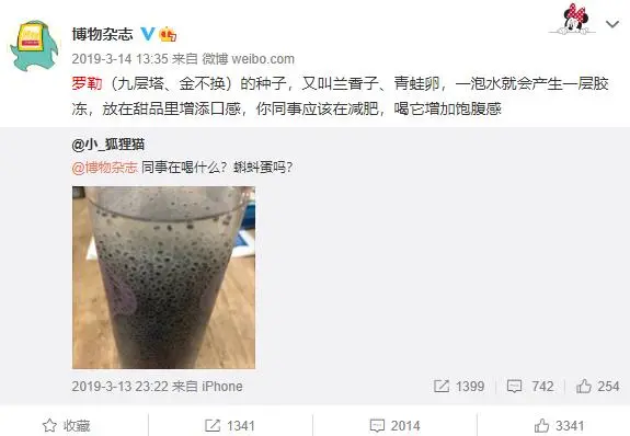 一马平天下 每个土酷小镇少年，都有命中注定的甜水水！