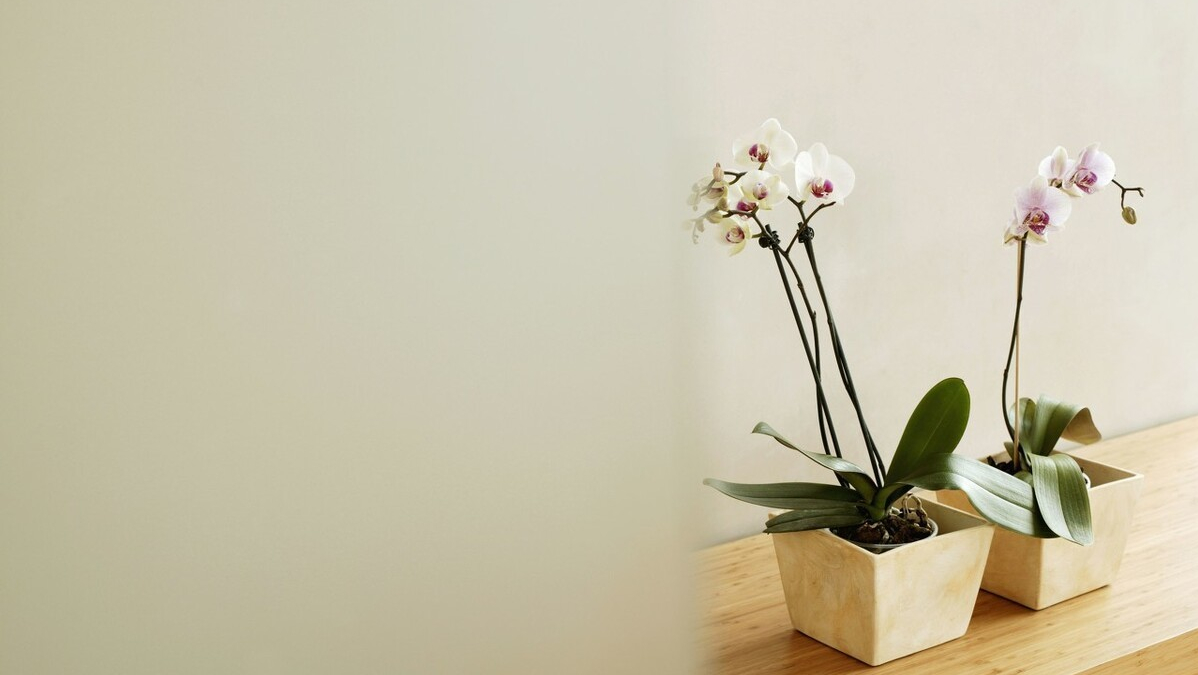 雯文情感屋|31岁女人坦言:和情人分手后,我只有这一种感觉