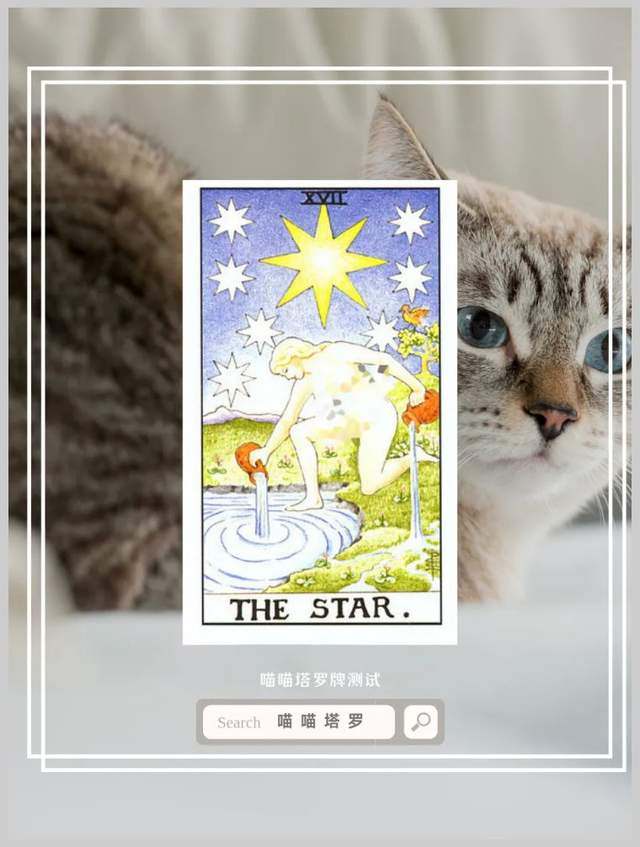 喵喵的塔罗|喵喵塔罗牌测试，你的哪一个特质最吸引人