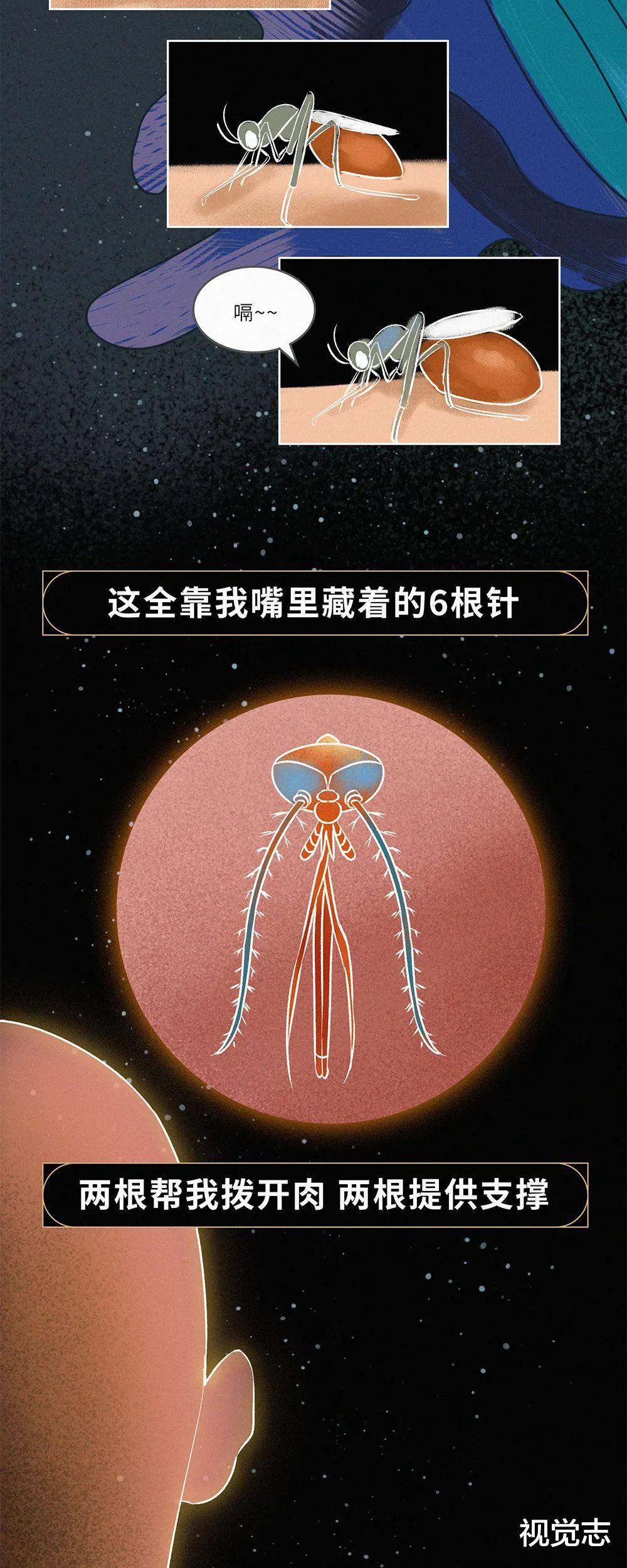 视觉志|因为「她」,我给了自己一巴掌。