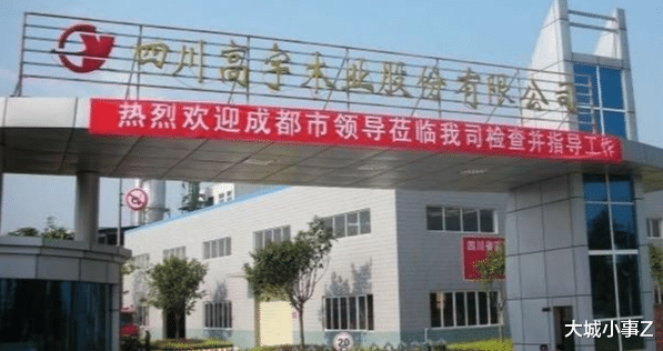 大城小事Z 四川百强企业:新希望第一,高宇集团垫底,四家企业营收超千亿