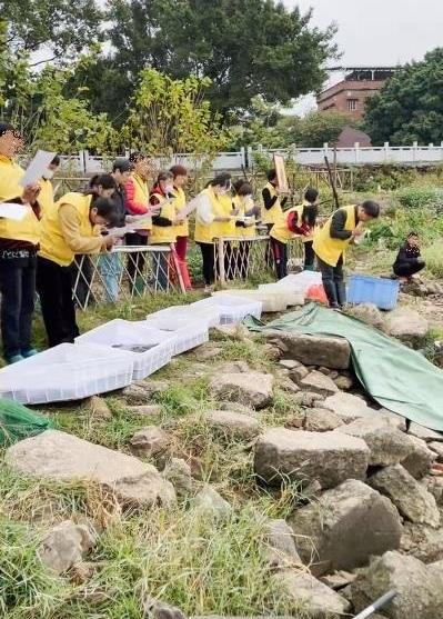 巴西龟|钓鱼遇到放生佬:身披“黄马褂”,对着河面念叨,网友:违法了