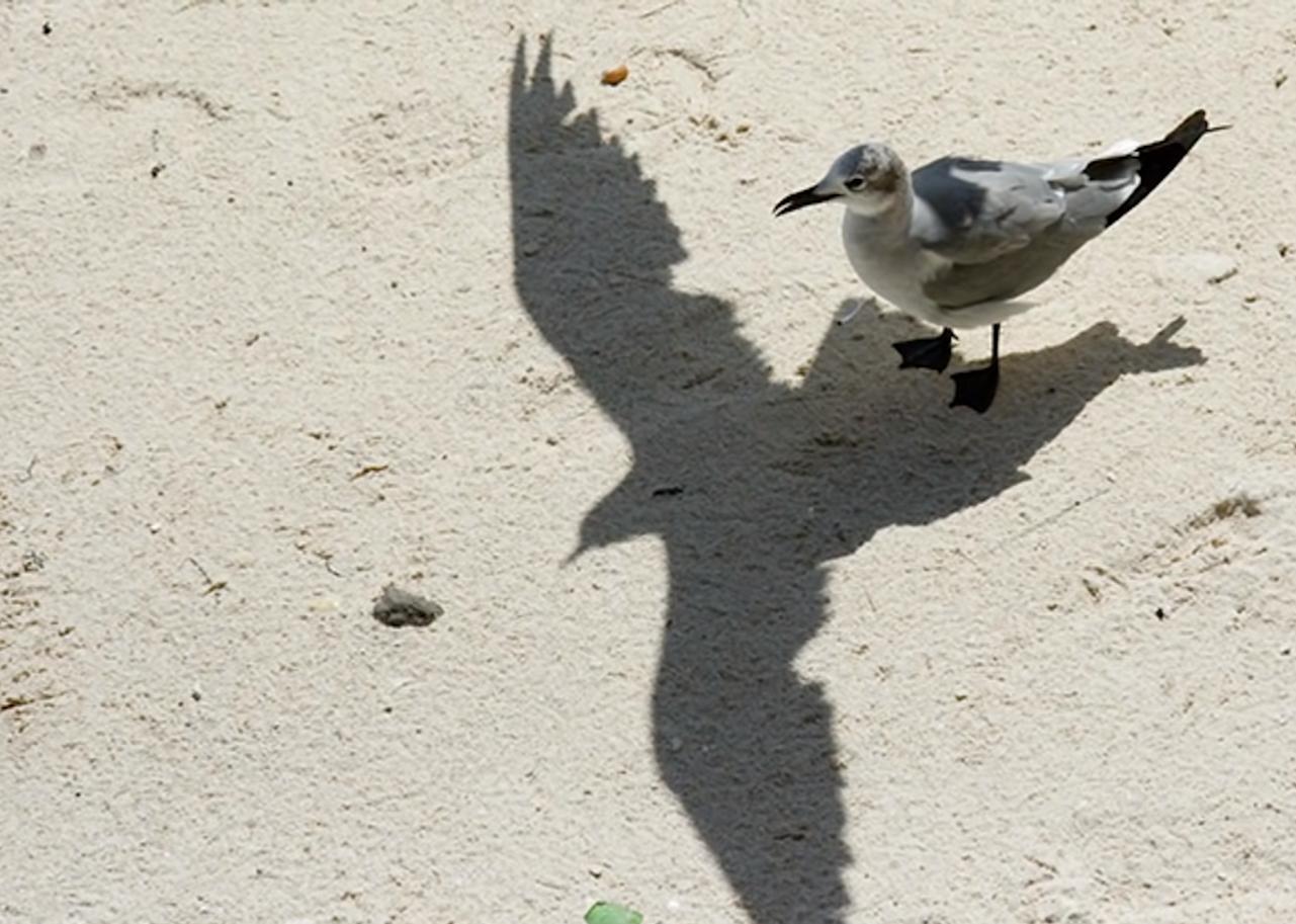 海之归墟|32张不可思议的照片,证明影子也会“骗人”