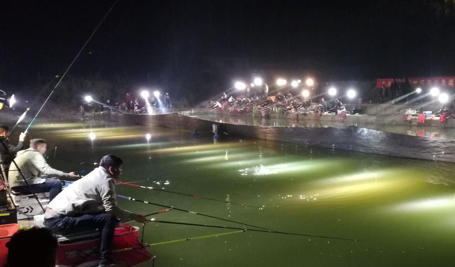 饵料|夜钓黑坑鲤鱼用什么味型？想要钓到上百斤鱼，需要掌握这几个技巧