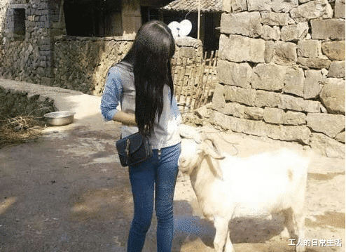 “蚊子把淤血吸走了,这是什么操作?”蚊子:这血有点过期...