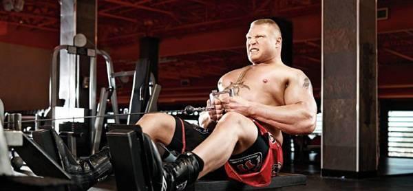 交易|野兽化身，WWE冠军，UFC冠军，风光过后，归隐田园做农民