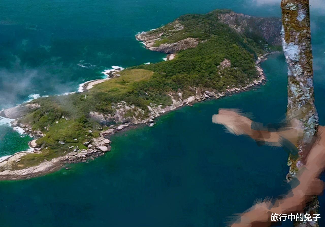 毒蛇 巴西小岛，藏着近4000条毒蛇，岛上蛇类毒性是近亲6倍