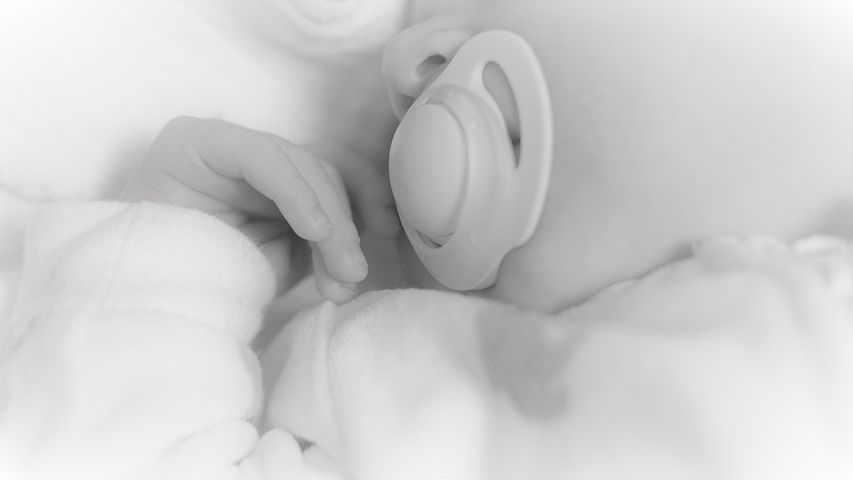  活着的意义是人类永恒追求的事情，活着，是为了经历和感受