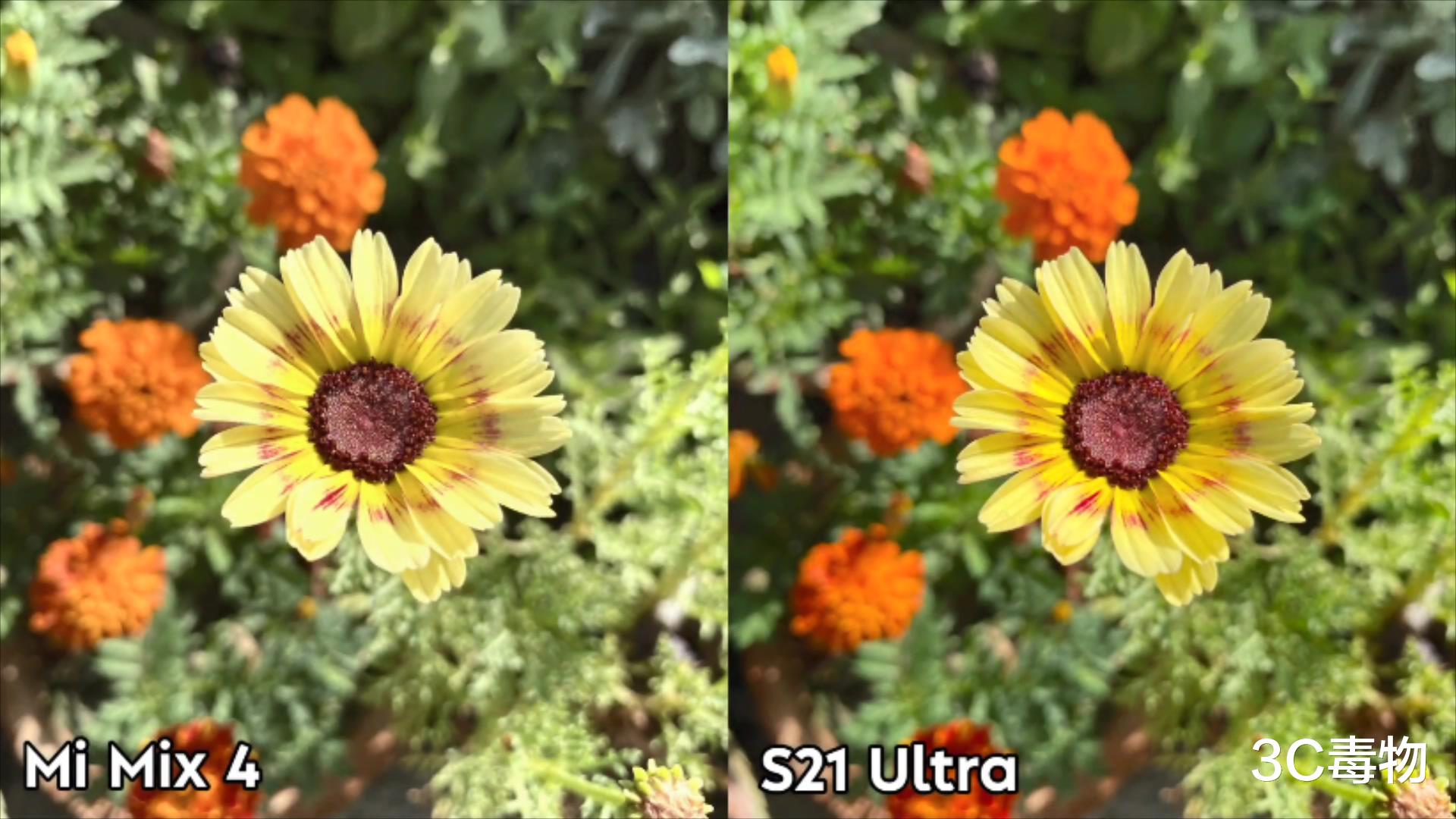 小米科技|1亿镜头之间的厮杀!小米MIX4和三星S21Ultra照片实拍:差距明显