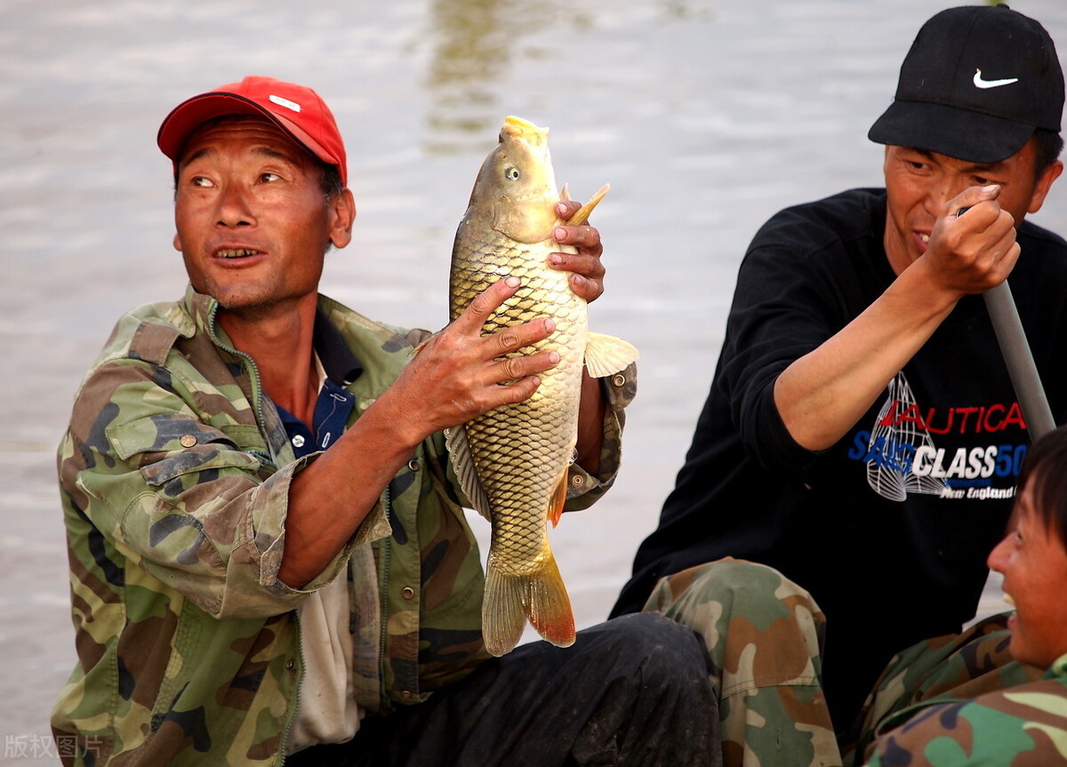 桑兰|钓鱼也能贪？渔业追责4万余个案件，抓获5.51万人还渔民净土