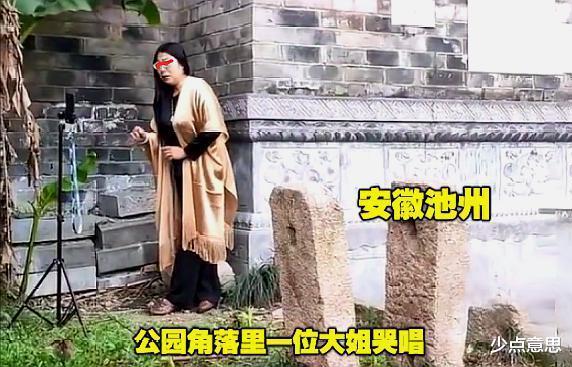 少点意思 安徽：大姐躲公园角落哭唱，路过大爷看不懂，一顿研究后悄然离开！