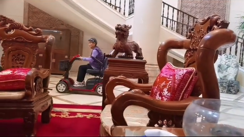 杨子|杨子黄圣依豪宅曝光，紫檀玉器琳琅满目，妈妈开小车在屋里行走