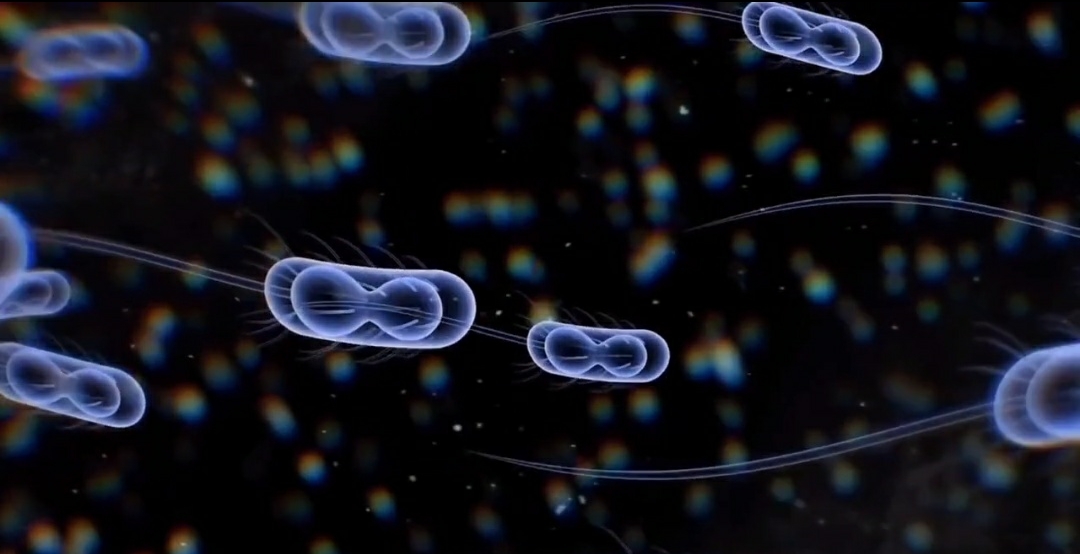 时光倒流七十年 如果地球上所有火山突然喷发发生什么?