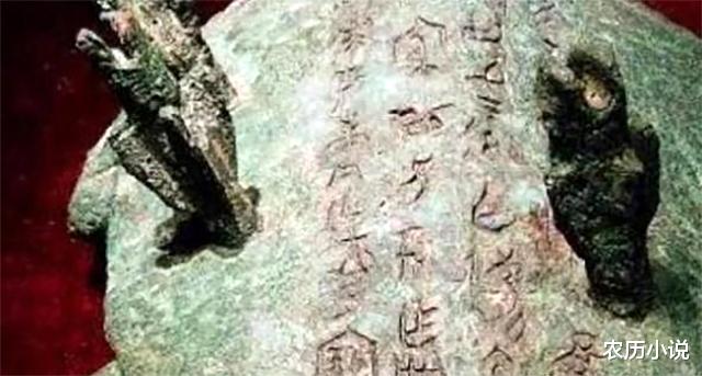 大爷|老大爷河边钓鱼，发现奇怪大龟，专家：价值十几亿