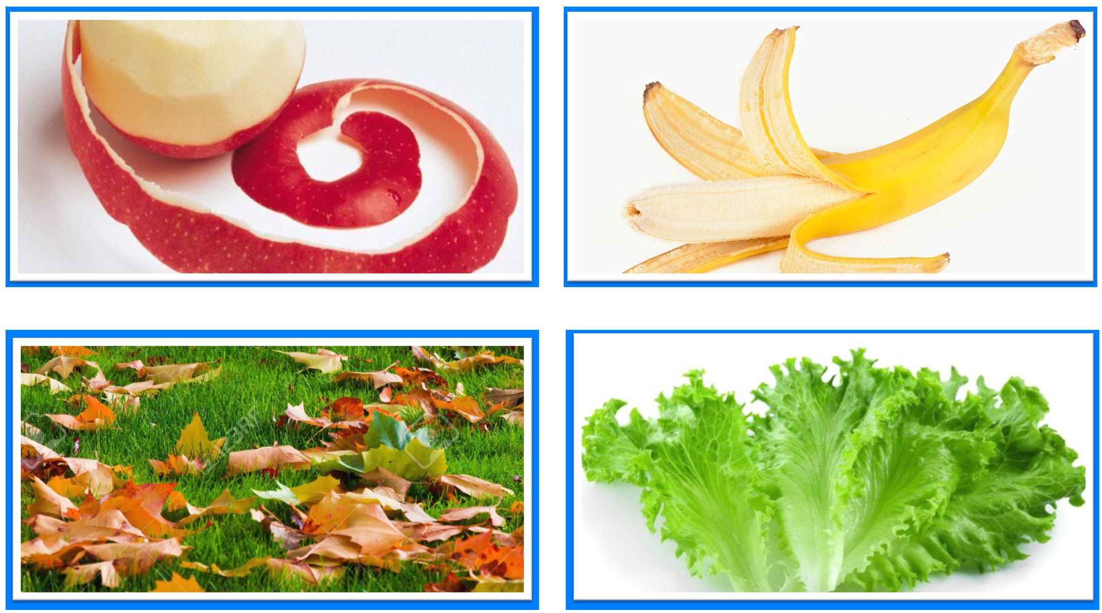 |涨知识:钓鱼人必须要知道的蚯蚓生活习性和保存方法!