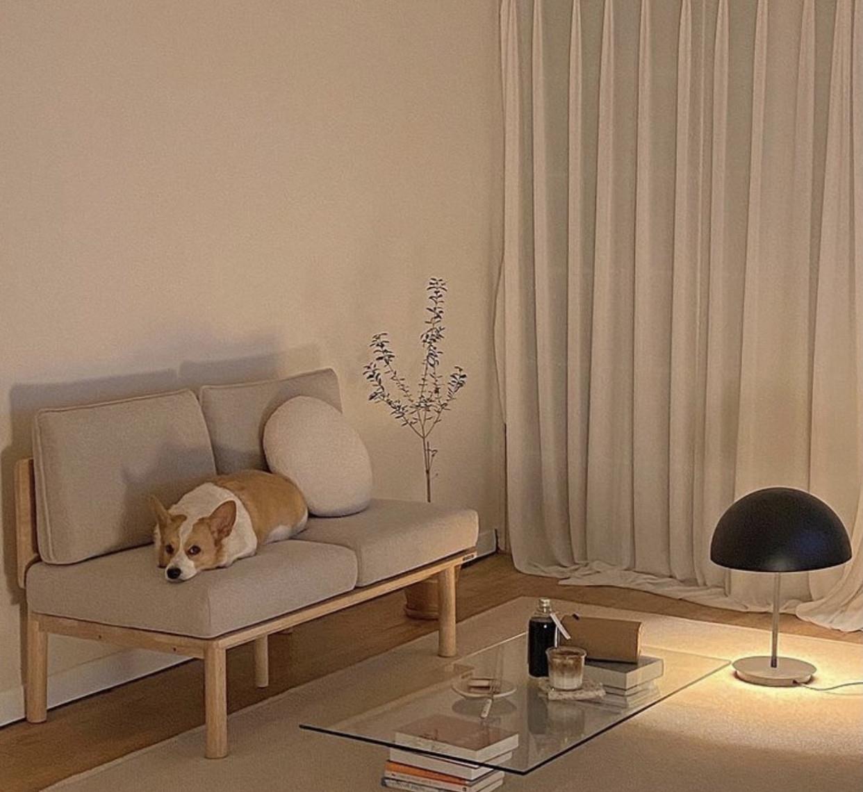 一人独居,有犬相伴,小窝虽然不大,她却过出了诗和远方,羡慕!