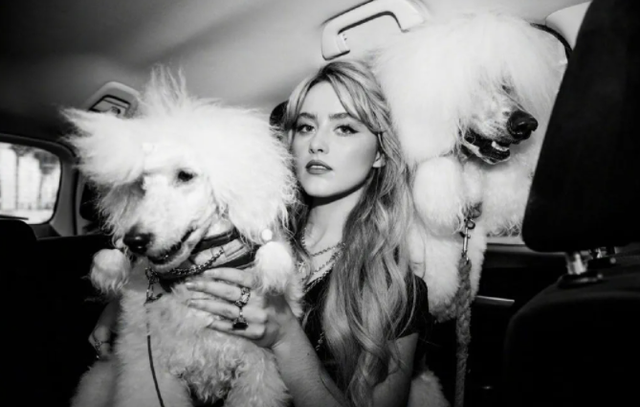 灵熙说珠宝 凯瑟琳-纽顿:4岁入演艺圈,神似迪丽热巴,一个会演戏的高尔夫人