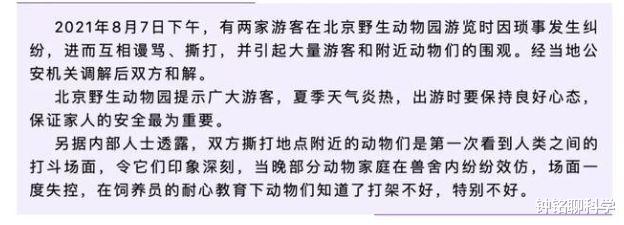  游客打架“带坏”动物，当晚纷纷模仿！动物学习能力究竟有多强？
