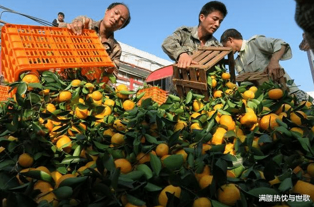 满腹热忱与世歌 越南两千多辆卡车驶向我国,满载水果以表诚意?吃货:开回去吧!