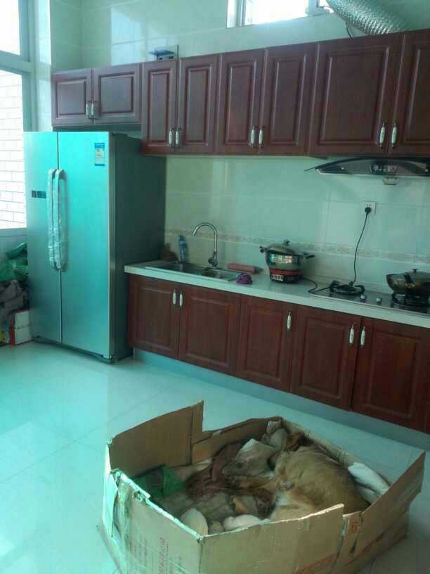 晒晒东北婆家的自建房，占地1000平，卧室大家可能没见过